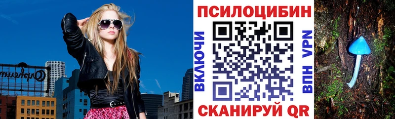 Галлюциногенные грибы Psilocybine cubensis Купить закладки Азнакаево